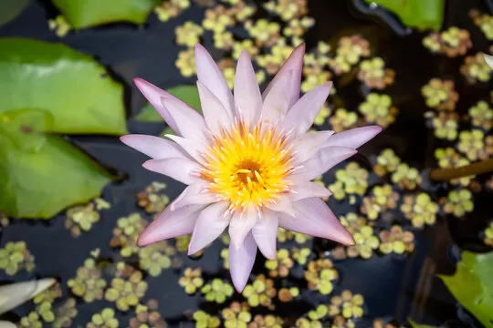 我们的使命与愿景